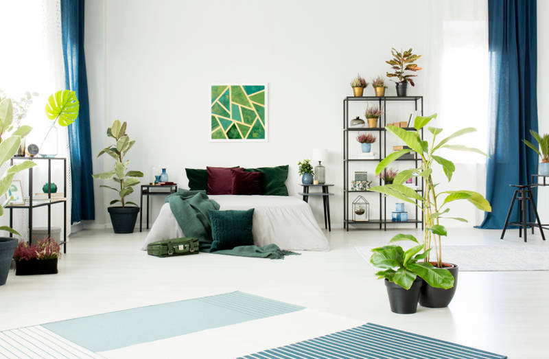 sơn phòng xanh lá